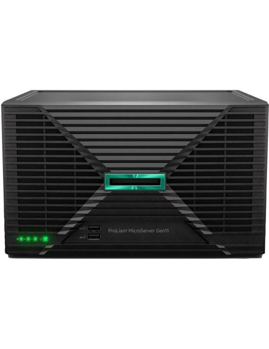 Servidor HPE ProLiant MicroServer Gen11 Intel Xeon 6325P/ 32GB Ram/ 2 x 4TB SATA