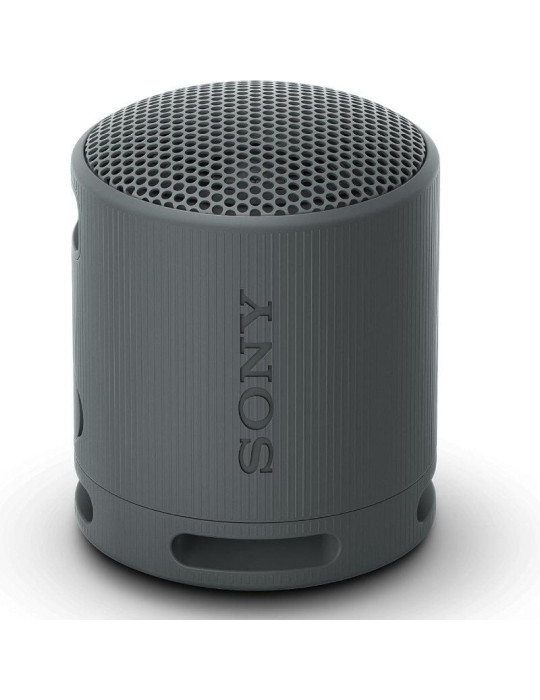 Altavoz Portable con Bluetooth Sony XB100/ 2.0/ Negro