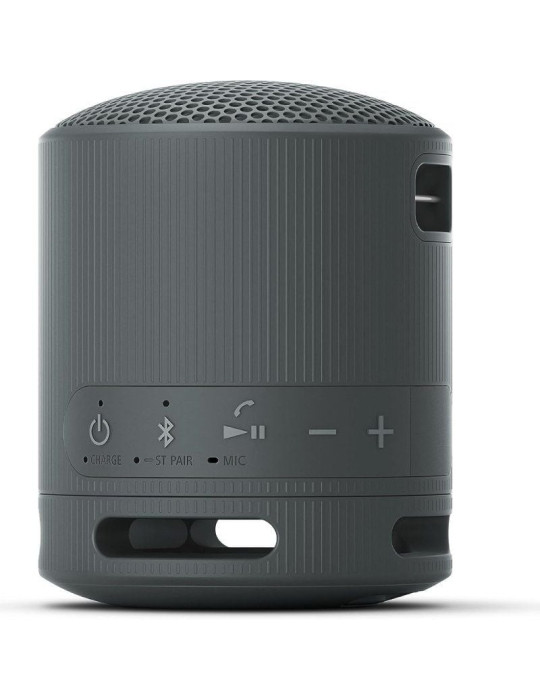 Altavoz Portable con Bluetooth Sony XB100/ 2.0/ Negro