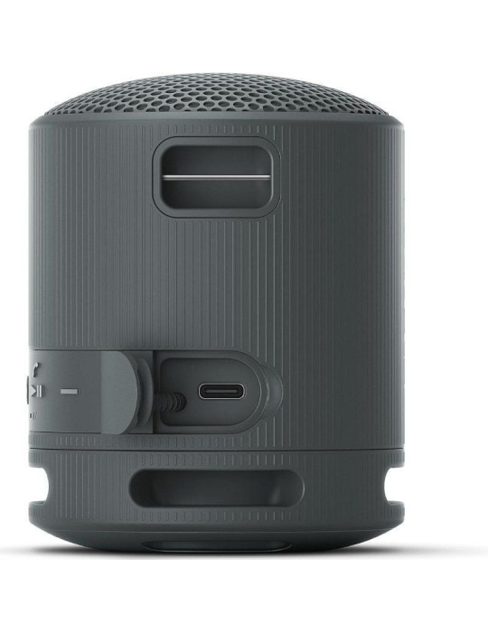 Altavoz Portable con Bluetooth Sony XB100/ 2.0/ Negro
