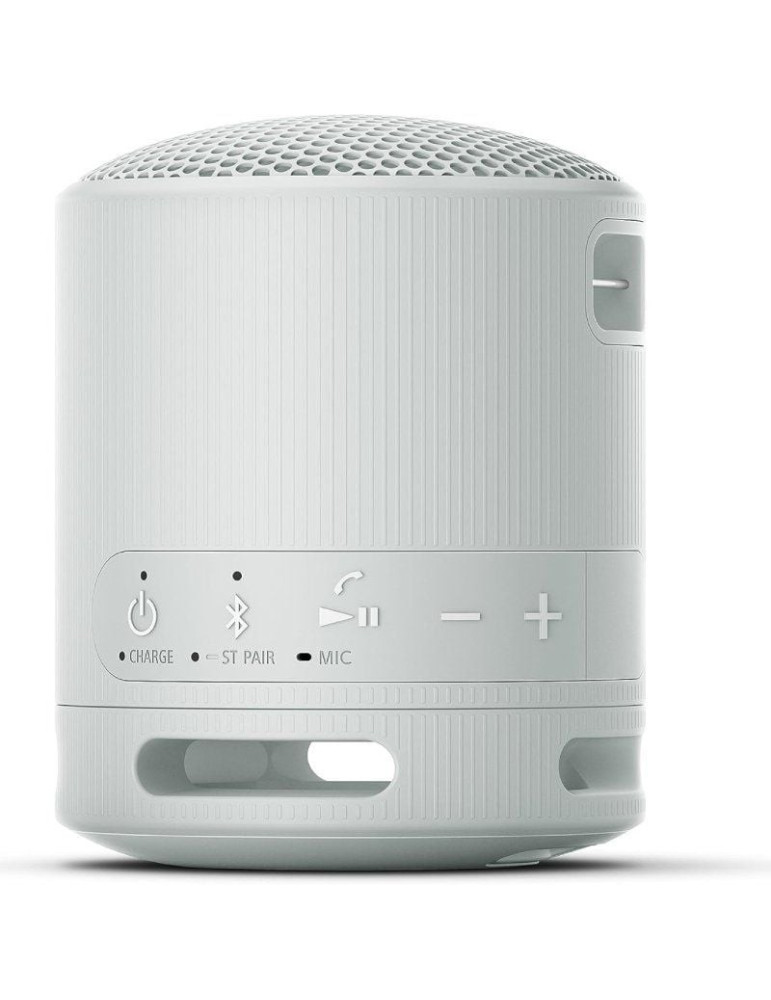 Altavoz Portable con Bluetooth Sony XB100/ 2.0/ Gris Claro