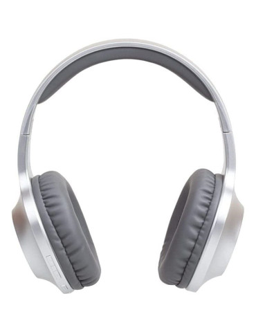 Auriculares Inalámbricos Panasonic RB-HX220B/ con Micrófono/ Bluetooth/ Plateados 2