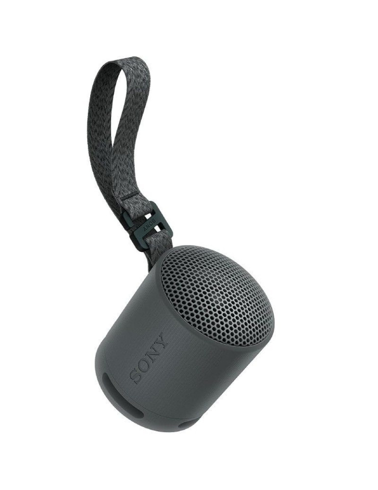 Altavoz Portable con Bluetooth Sony XB100/ 2.0/ Negro