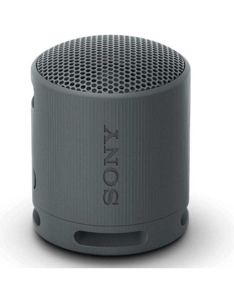 Altavoz Portable con Bluetooth Sony XB100/ 2.0/ Negro