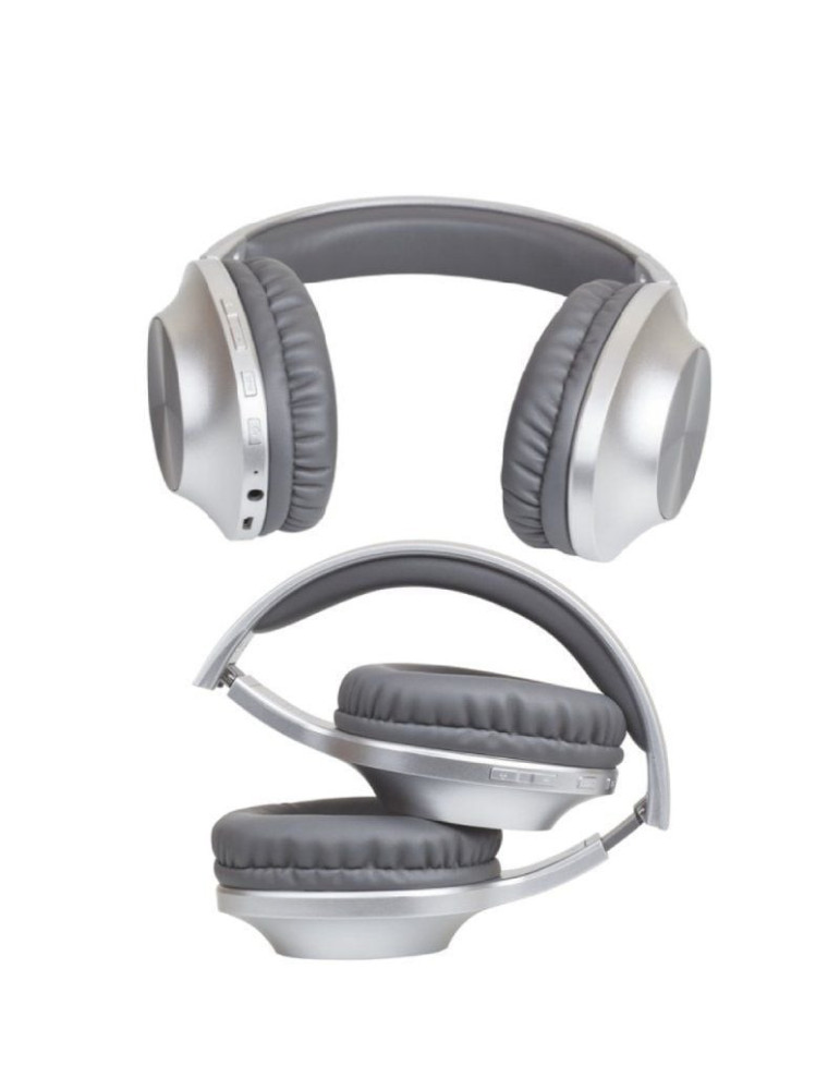 Auriculares Inalámbricos Panasonic RB-HX220B/ con Micrófono/ Bluetooth/ Plateados