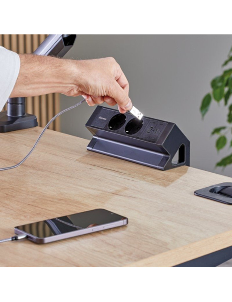 Regleta Sobremesa Fellowes 100137182/ 2 Tomas de corriente/ 1 USB - 1 USB Tipo-C/ Cable 2m/ Negra