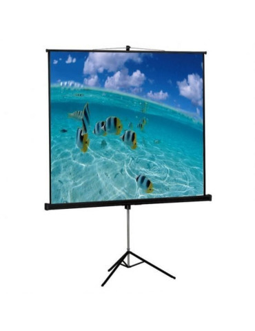 Pantalla de Proyección con Trípode Approx appP200T/ 200 x 200cm 2
