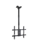 Soporte de Techo Giratorio/ Inclinable/ Nivelable TooQ LPCE1175TSLI-B para TV de 32-75"/ hasta 60kg